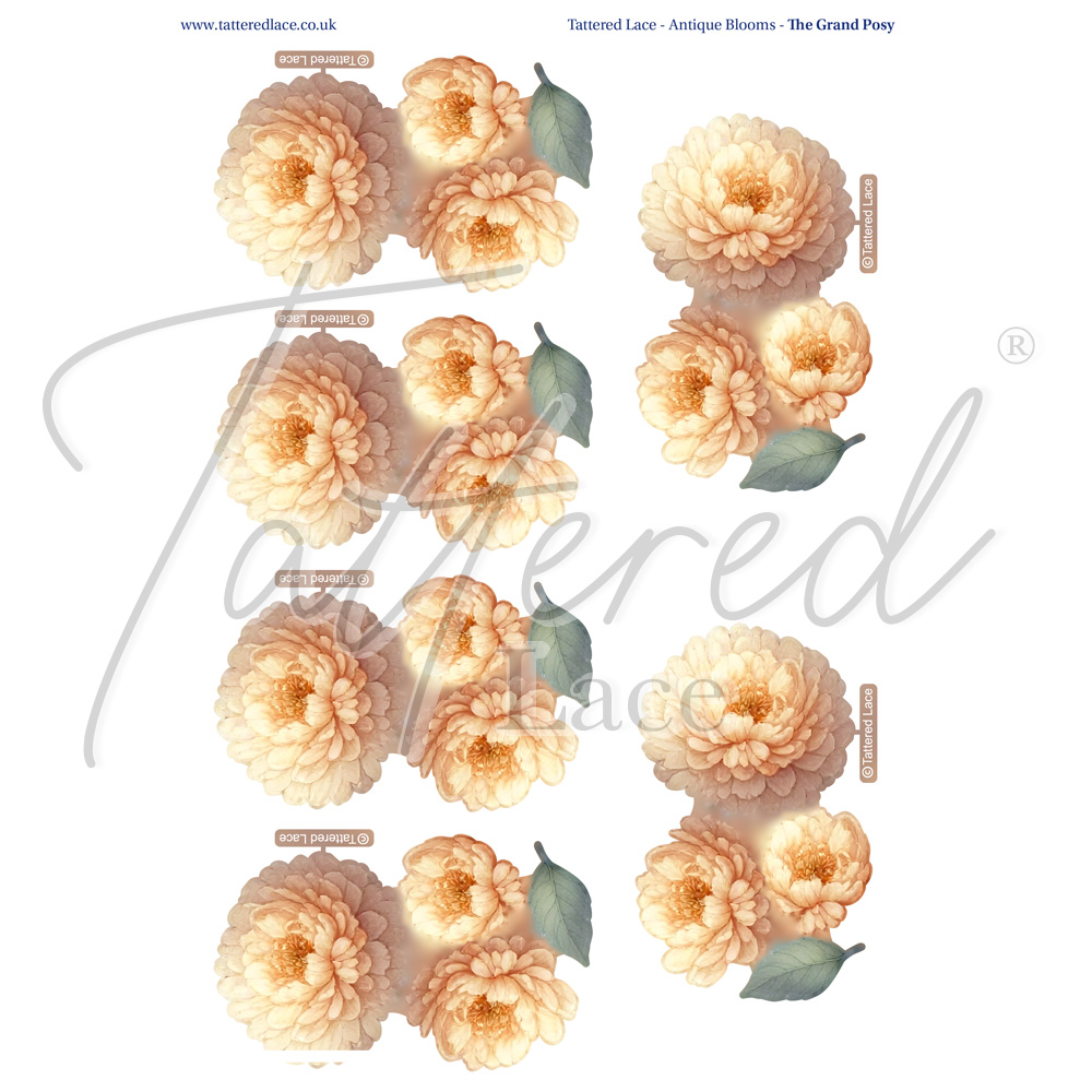 Tattered Lace The Grand Posy Charisma Download 2