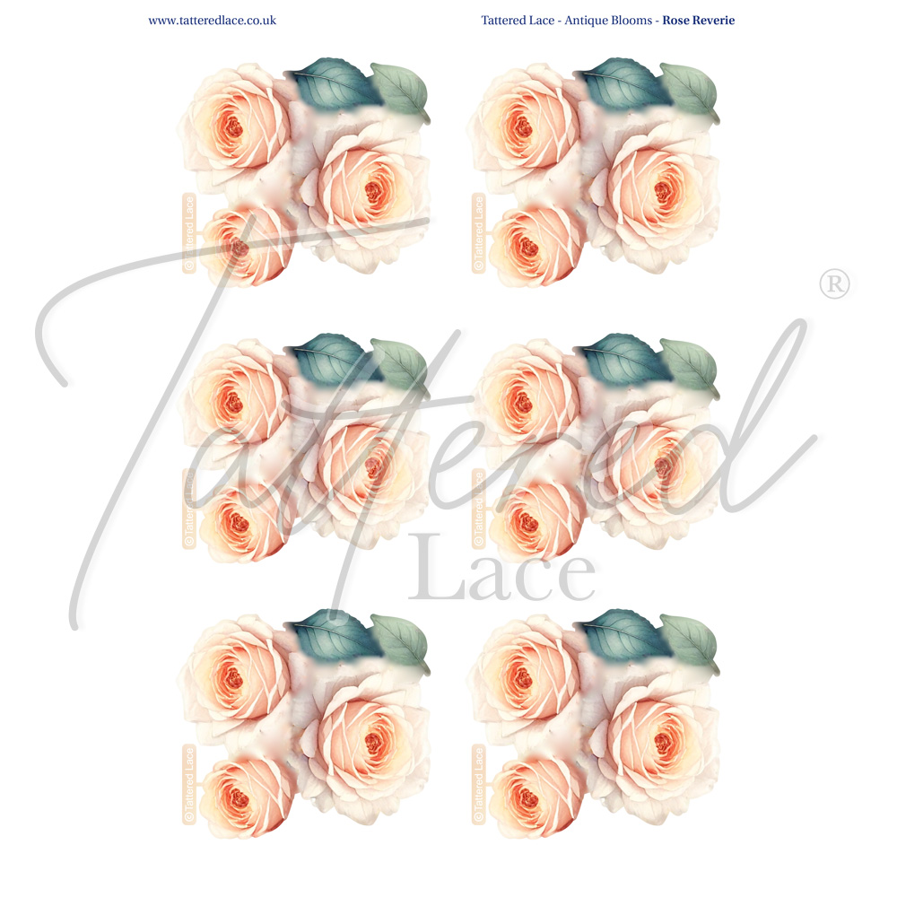 Tattered Lace Rose Reverie Charisma Download 1