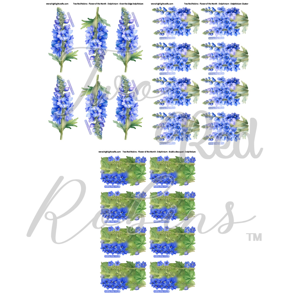 Two Red Robins Flower of the Month Delphinium Reflections Free Download Bundle