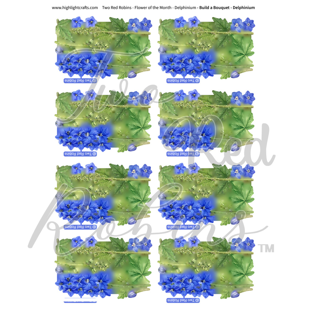 Two Red Robins Build a Bouquet Delphinium Reflections Download 1