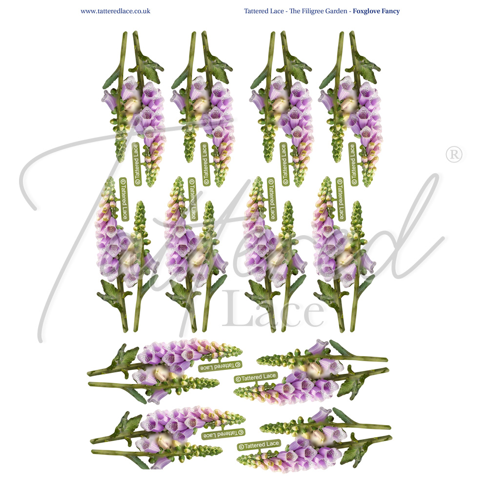 Tattered Lace Foxglove Fancy Charisma Download