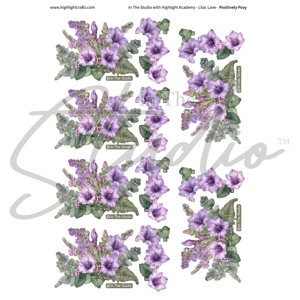 In The Studio Positively Posy Reflections Download
