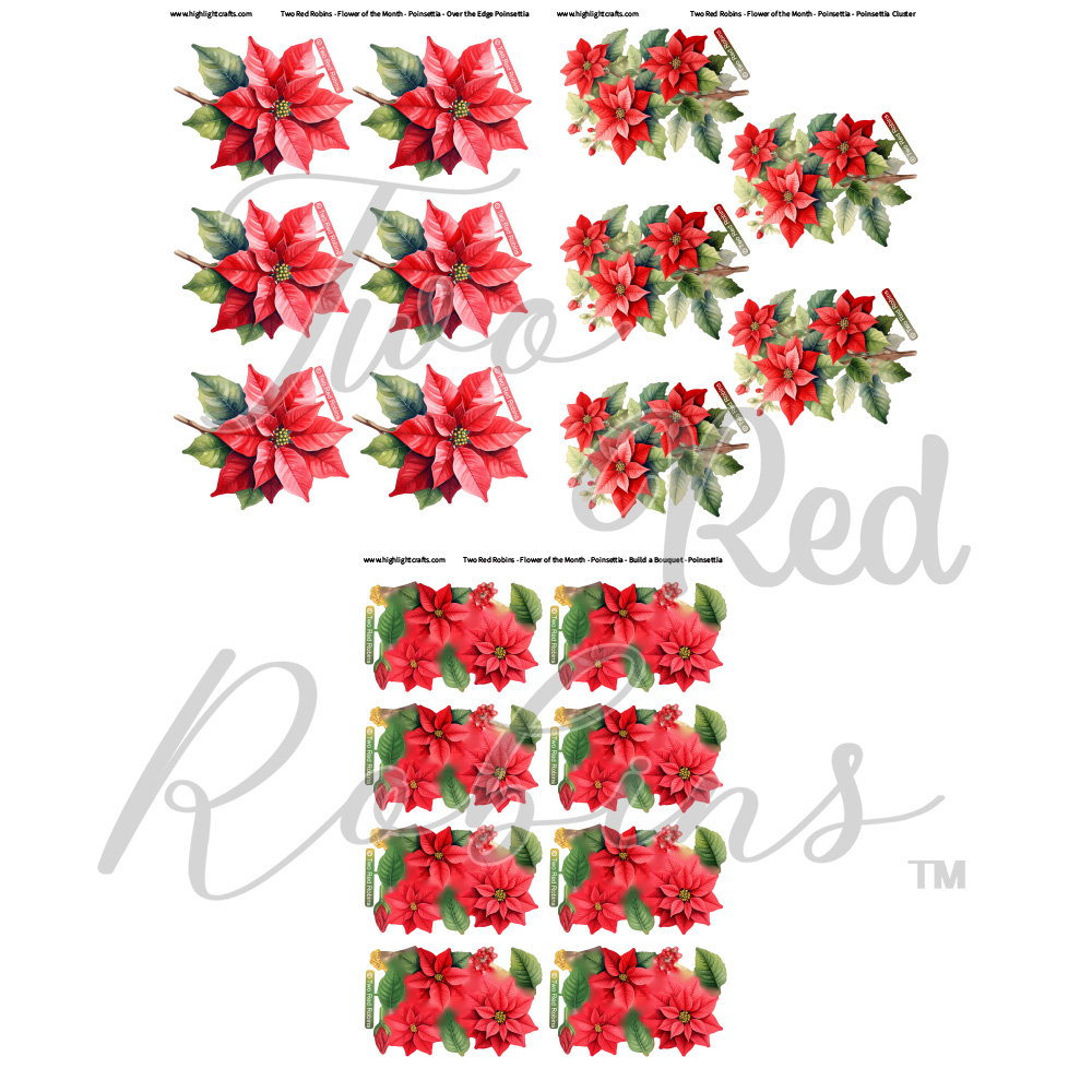 Two Red Robins Flower of the Month Poinsettia Reflections Free Download Bundle