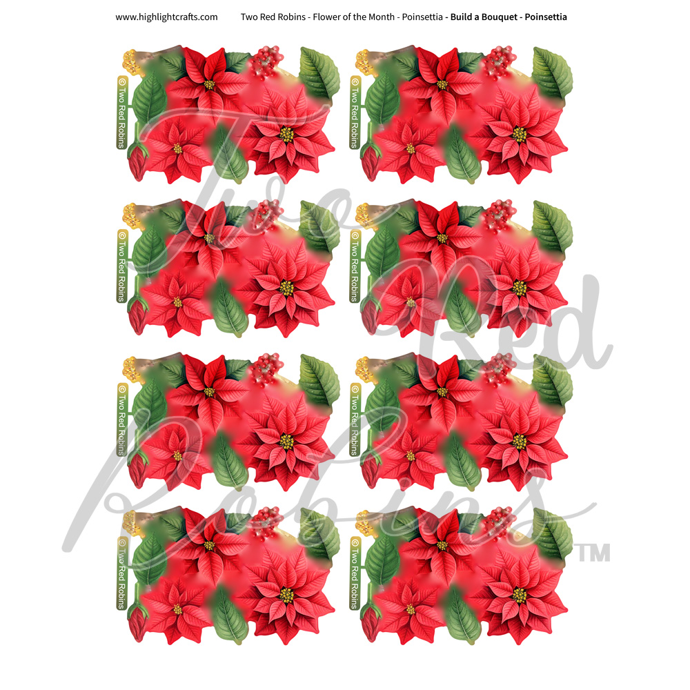 Two Red Robins Build a Bouquet Poinsettia Reflections Download 1