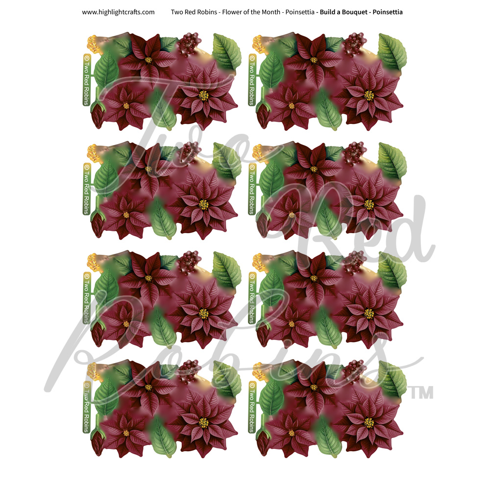 Two Red Robins Build a Bouquet Poinsettia Reflections Download 2