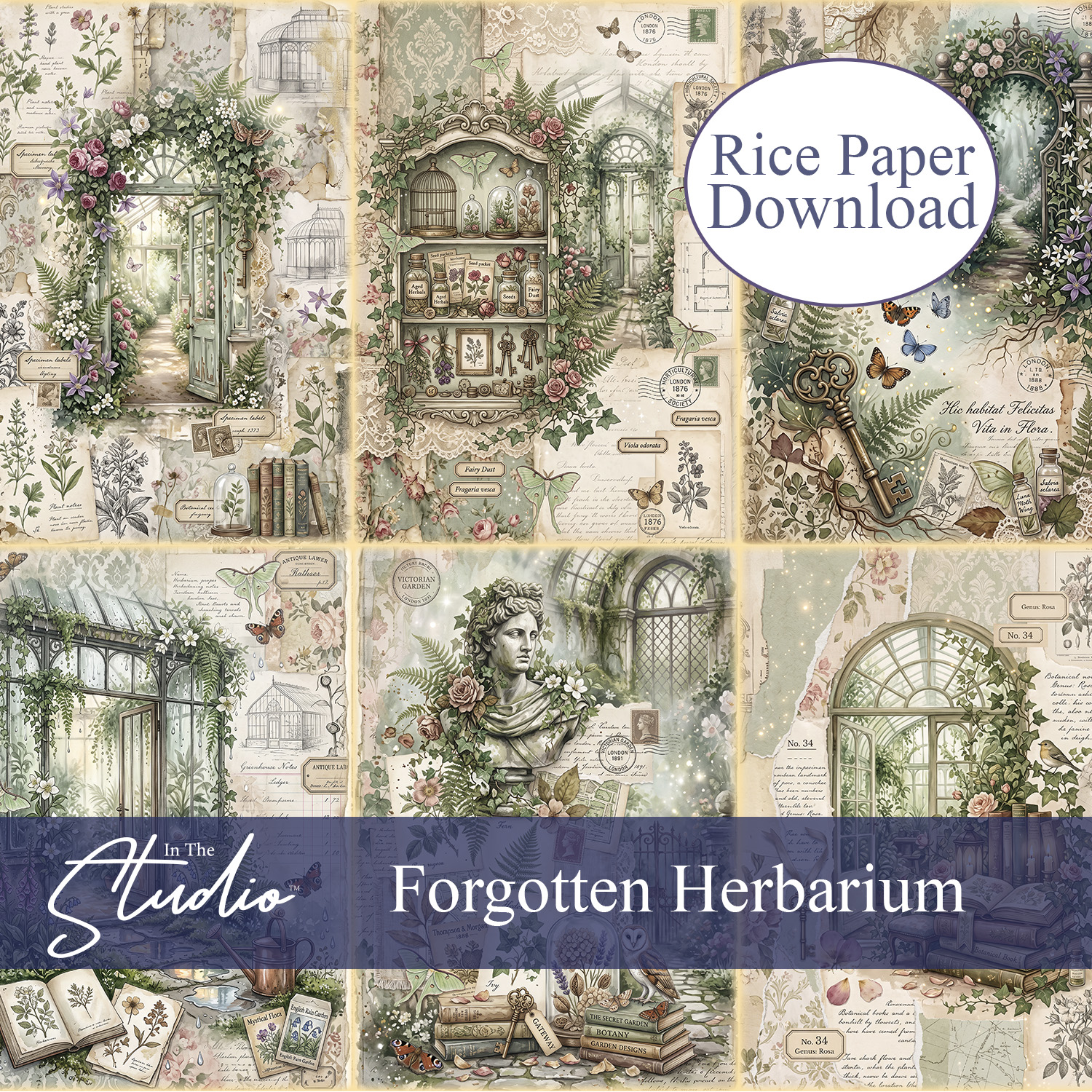 In The Studio Forgotten Herbarium Mini Rice Paper Download