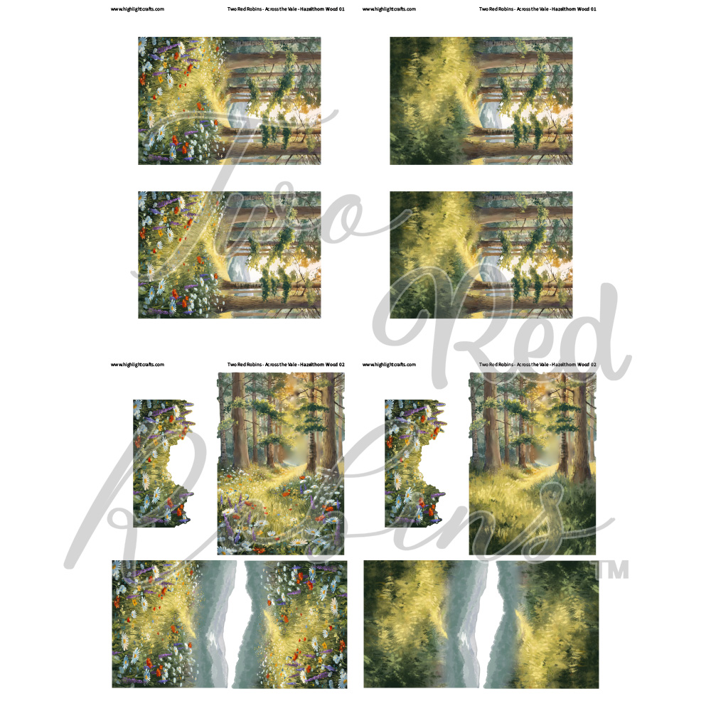 Two Red Robins Hazelthorn Wood Reflections Download