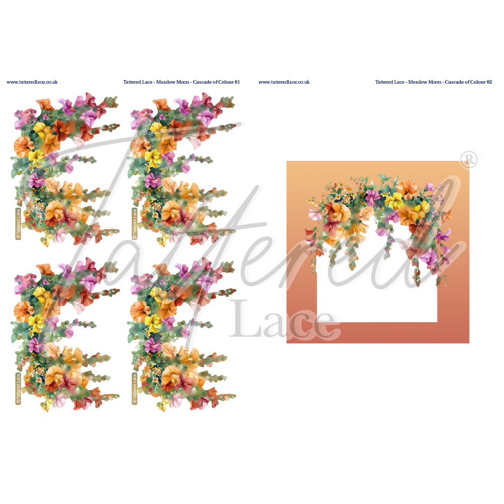 Tattered Lace Cascade of Colour Charisma Download 3