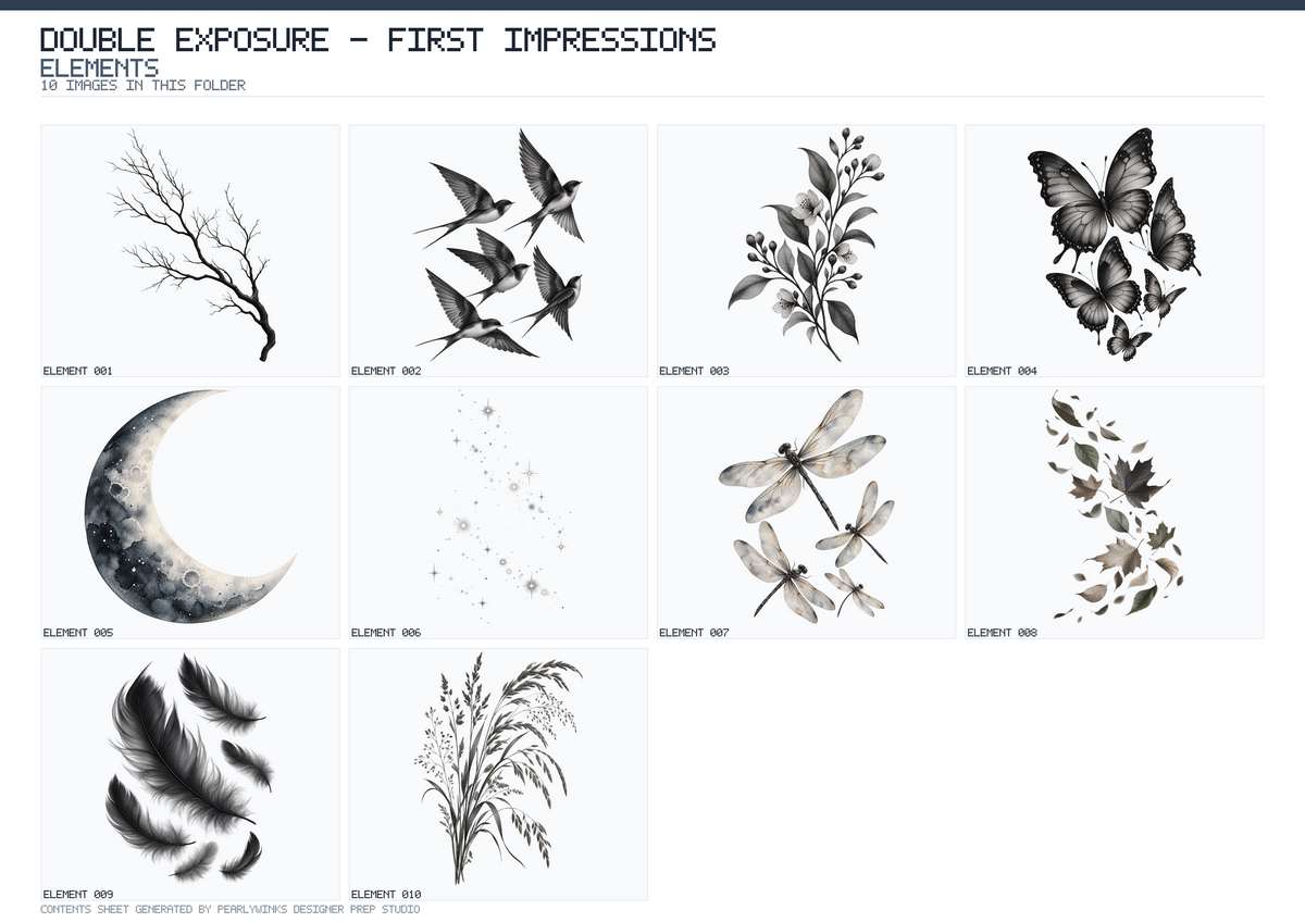 Pearlywinks - Double Exposures First Impressions Digital Download - Image 6