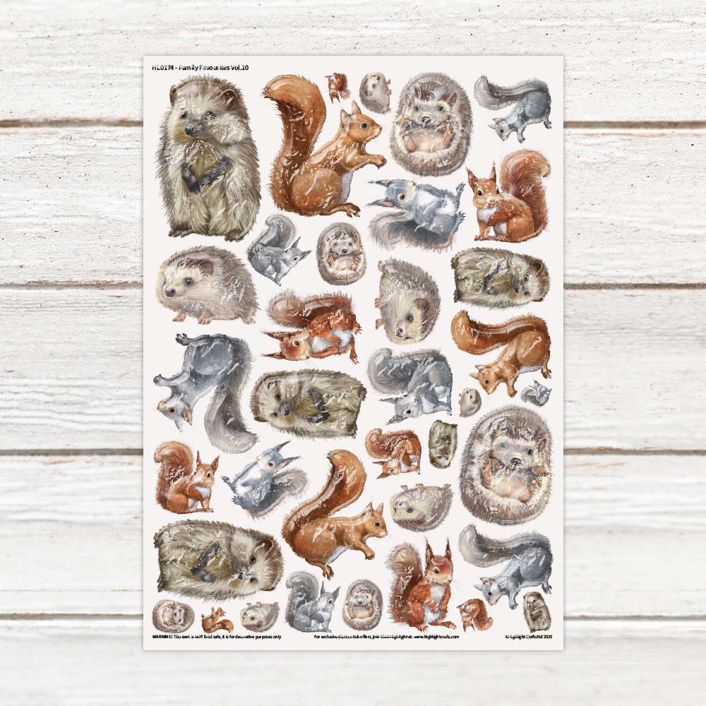 Highlight Luxe Family Favourites Hedgehogs & Squirrels Resin Decal Sheet