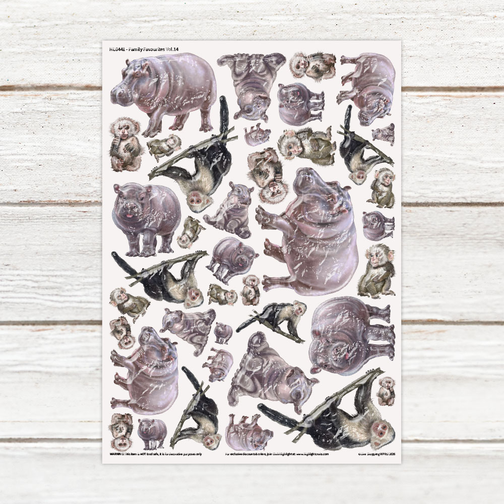 Highlight Luxe Family Favourites Vol 14 Resin Decal Sheet