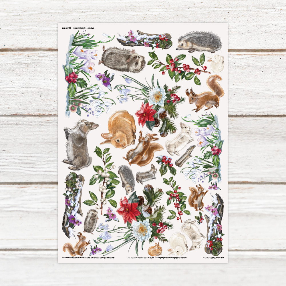 Highlight Luxe Snowdrop Hollow Resin Decal Sheet