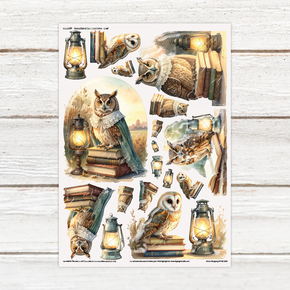 Highlight Luxe Woodland Companions Owls Resin Decal Sheet