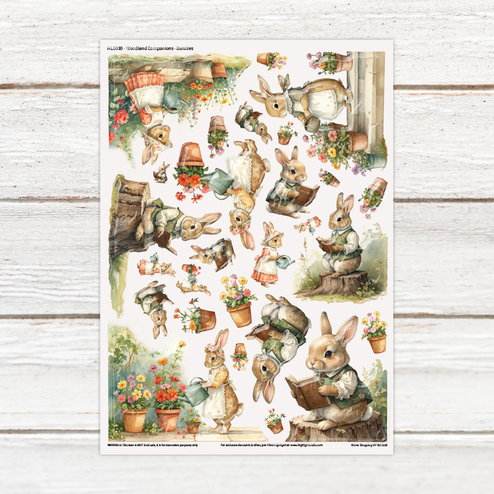 Highlight Luxe Woodland Companions Bunnies Resin Decal Sheet