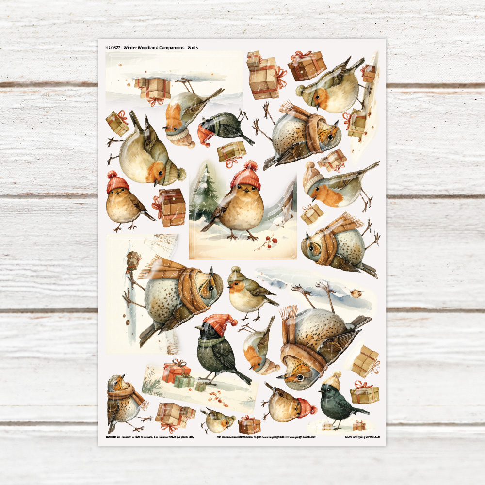 Highlight Luxe Winter Woodland Companions Birds Resin Decal Sheet