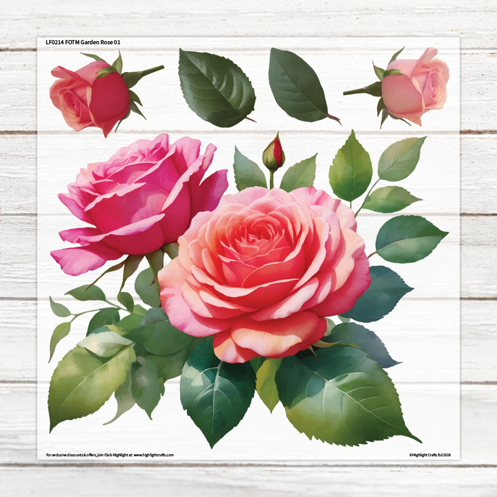 Highlight Luxe Large Garden Rose 1 Heat Transfer Sheet