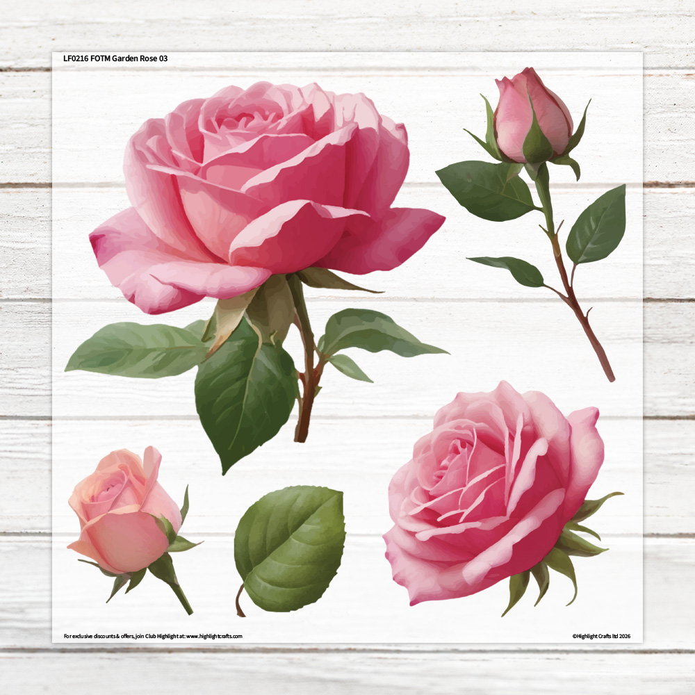 Highlight Luxe Large Garden Rose 3 Heat Transfer Sheet