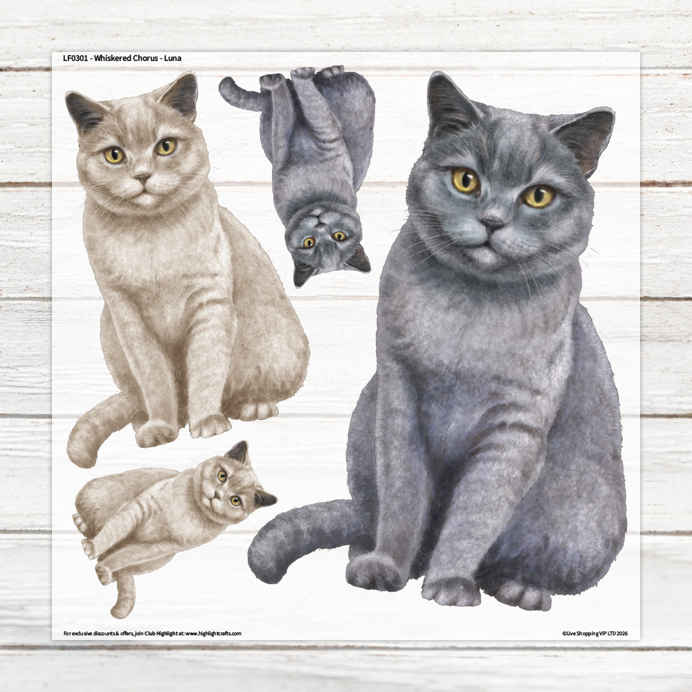 Highlight Luxe Whiskered Chorus Luna Large Heat Transfer Sheet