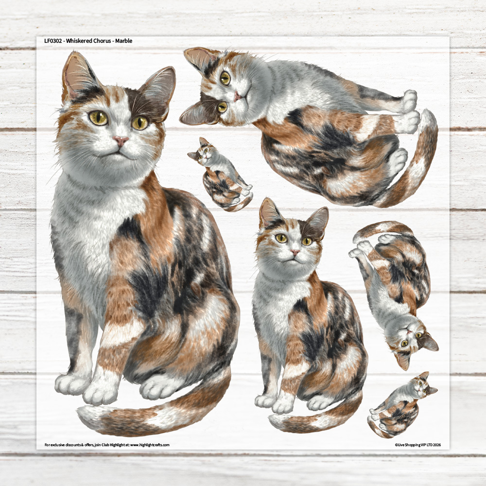 Highlight Luxe Whiskered Chorus Marble Large Heat Transfer Sheet