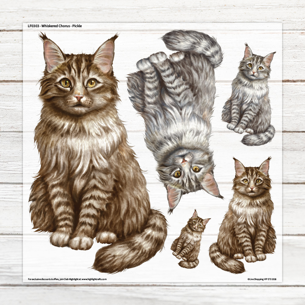 Highlight Luxe Whiskered Chorus Pickle Large Heat Transfer Sheet