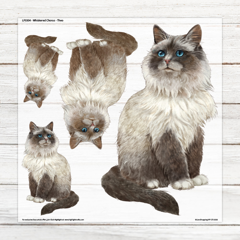 Highlight Luxe Whiskered Chorus Theo Large Heat Transfer Sheet