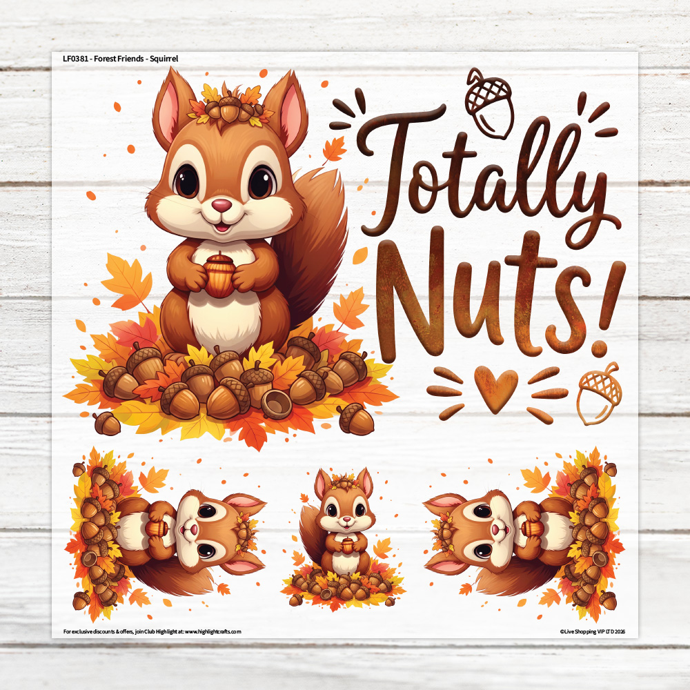 Highlight Luxe Forest Friends Squirrel Large Heat Transfer Sheet