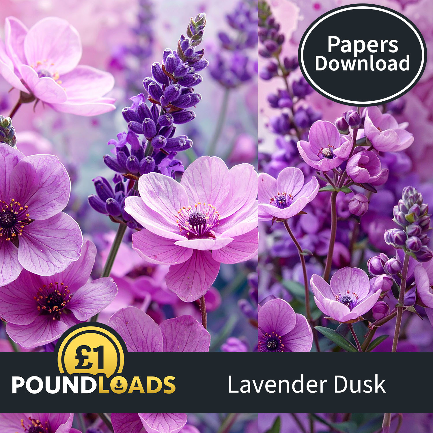Poundloads Lavender Dusk Papers Download