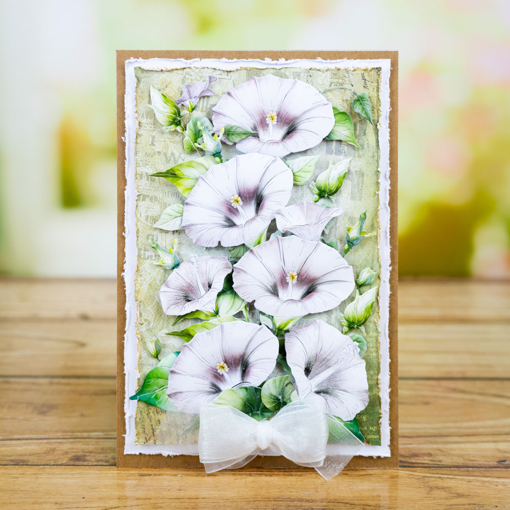 Two Red Robins Flower of the Month Morning Glory Die Bundle - Image 3