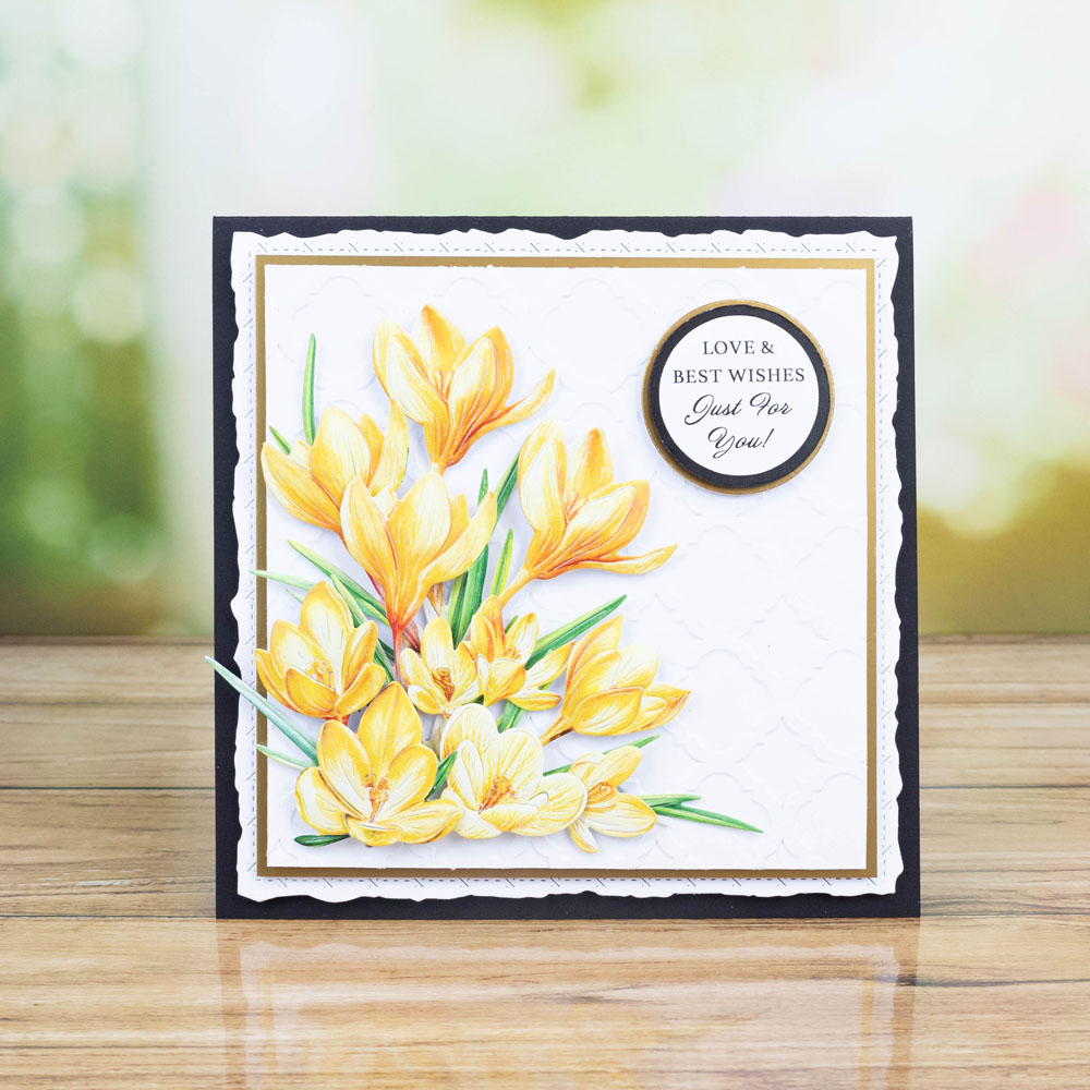 Two Red Robins Flower of the Month Crocus Die Collection - Image 9