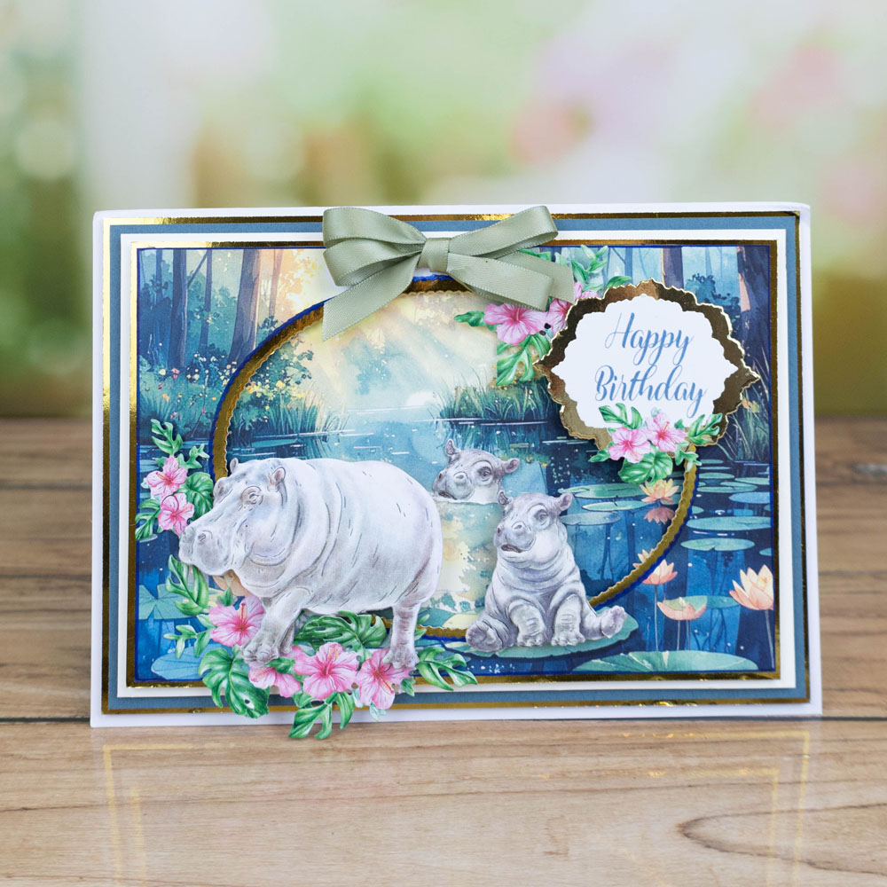 Two Red Robins Family Favourites Hippos Die Collection - Image 2