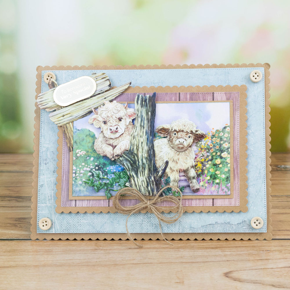 Two Red Robins Painted Pastures Die Collection - Image 3