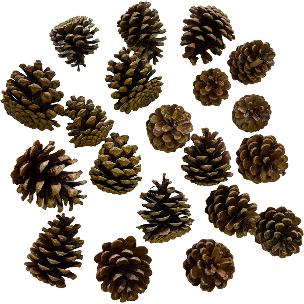 Silvar Design Pine Cones (20pk)