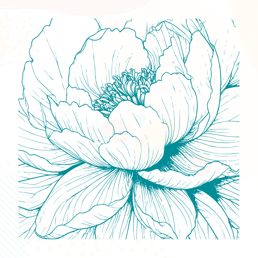 Screen Sensation Peony Essence Screen - Image 2