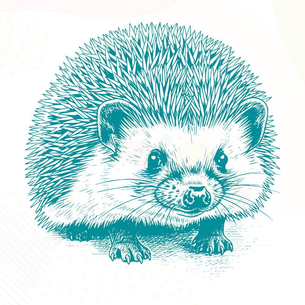 Screen Sensation Spiky & Sweet Screen - Image 2