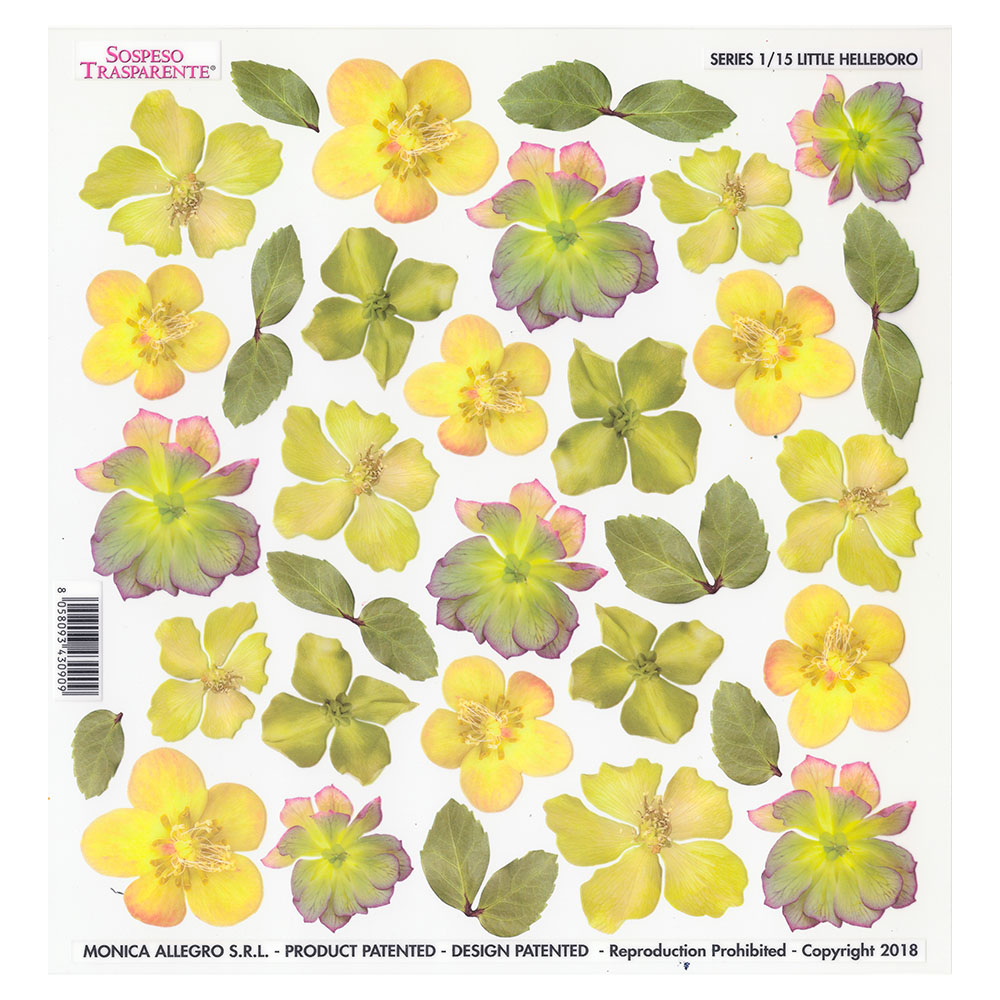 Sospeso Trasparente Hellebore Thermoformable Film