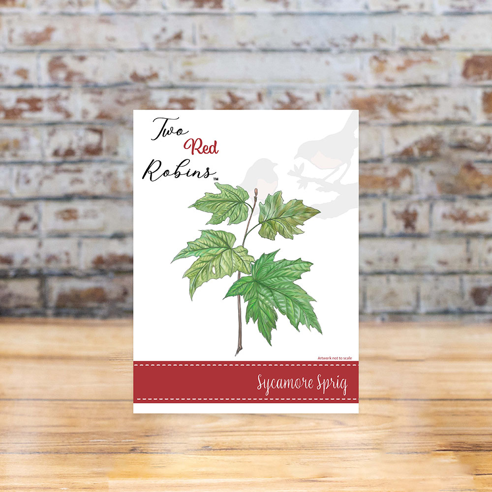 Two Red Robins Sycamore Sprig Die Set