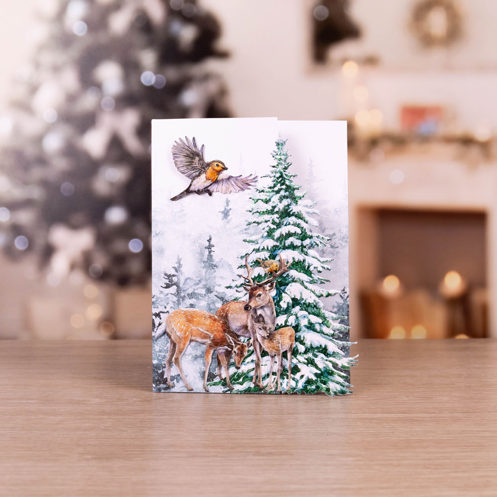 Two Red Robins Festive Fir Die Set - Image 5