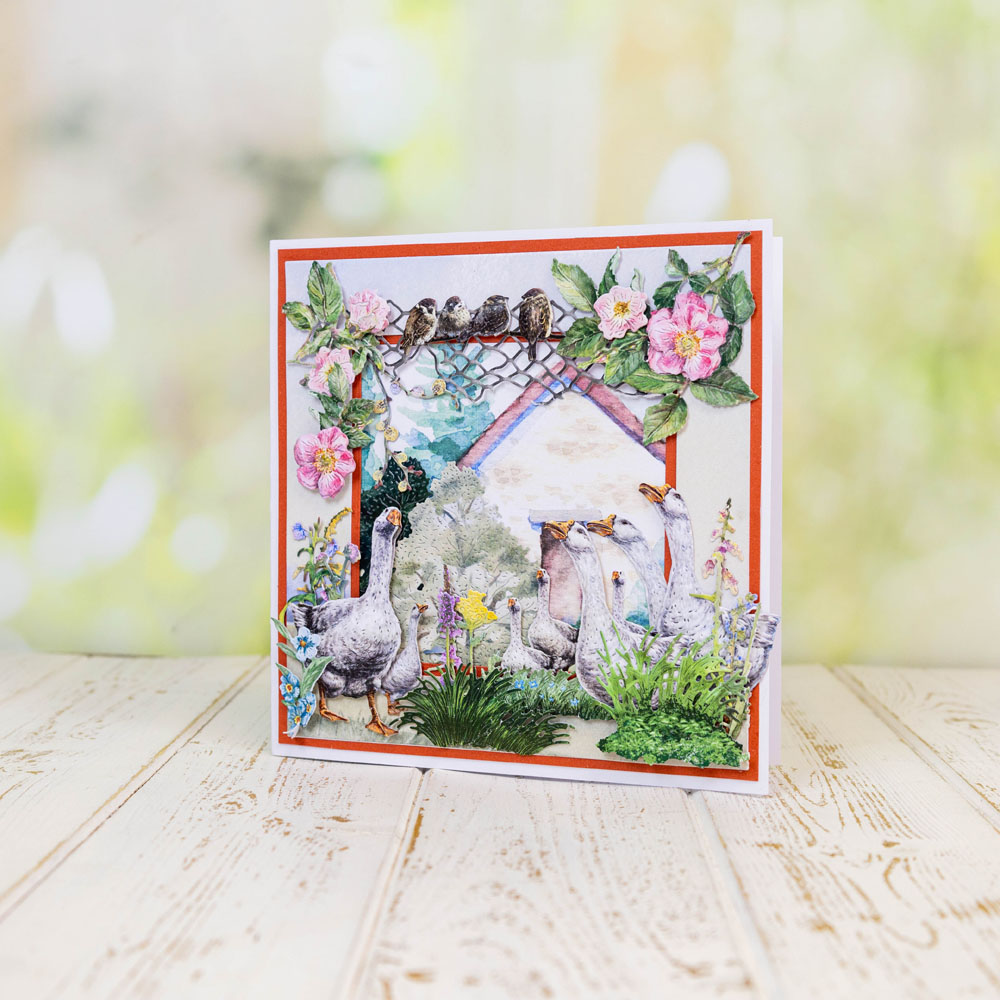 Two Red Robins Having a Gaggle Die Set - Image 10