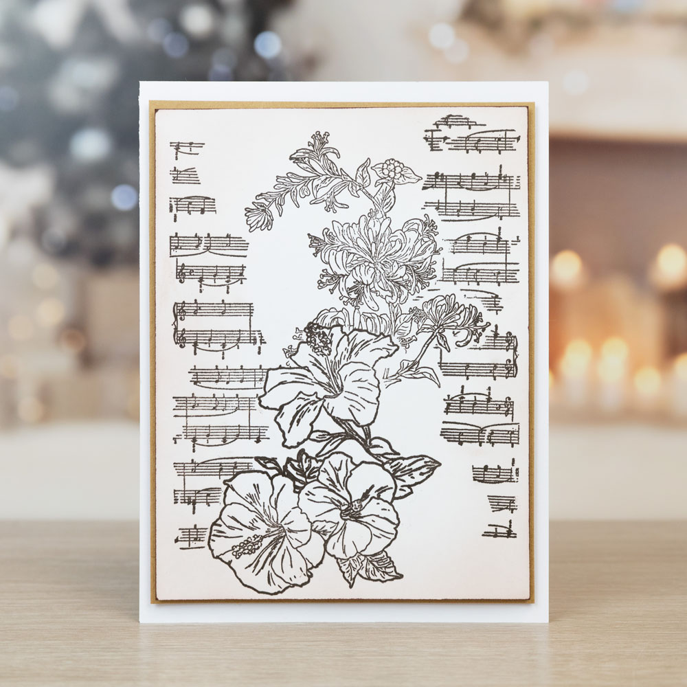 Two Red Robins Crown & Glory Stamp Set 3 - Image 2