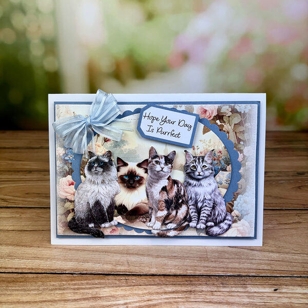 In The Studio Pickle Die Set - Highlight Crafts