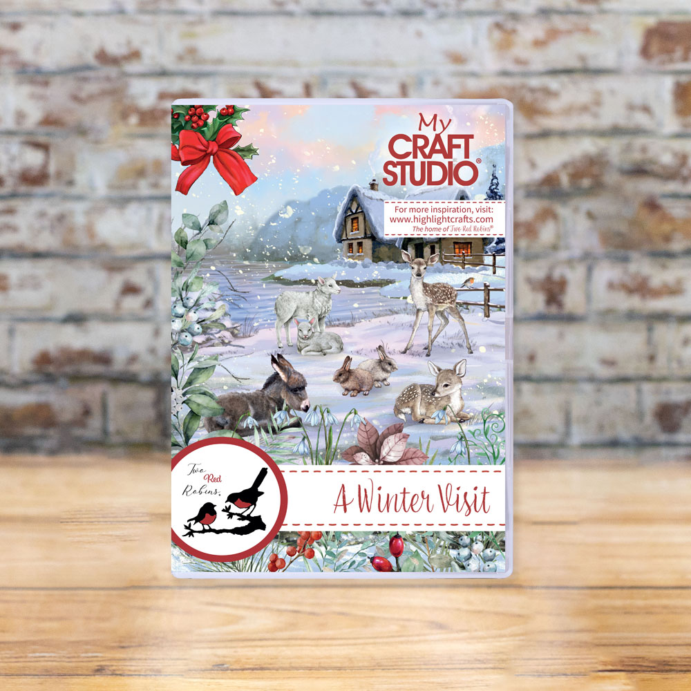 Two Red Robins A Winter Visit Scene Building USB